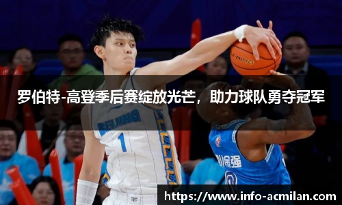 罗伯特-高登季后赛绽放光芒，助力球队勇夺冠军