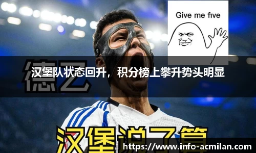 汉堡队状态回升，积分榜上攀升势头明显