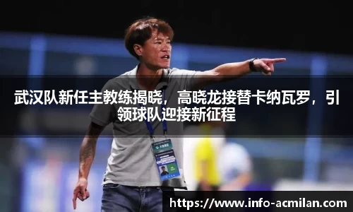 武汉队新任主教练揭晓，高晓龙接替卡纳瓦罗，引领球队迎接新征程